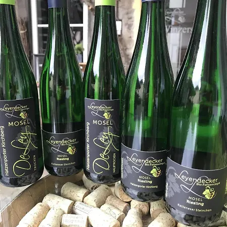 Bio-ferienweingut Leyendecker *