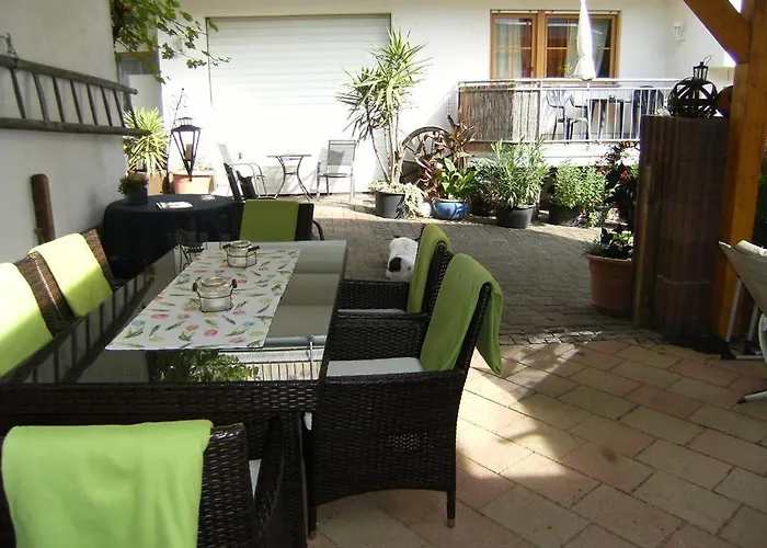 Bio-ferienweingut Leyendecker 公寓 Kattenes