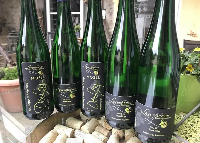 Bio-ferienweingut Leyendecker *