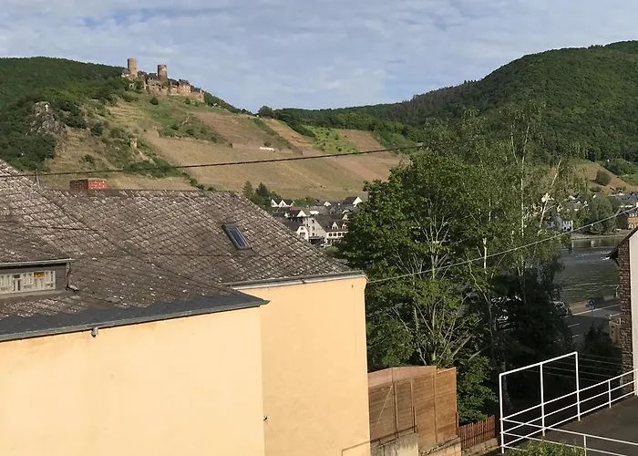 Bio-ferienweingut Leyendecker Kattenes